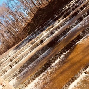 Meet your Posher, Levi